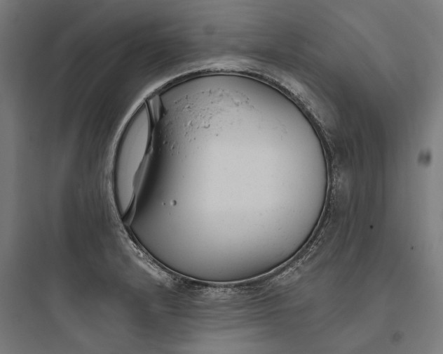 X0000093761232200711061103