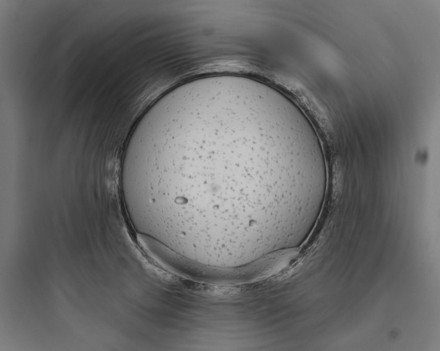 X0000093761233200711061103