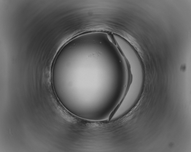 X0000093761234200711061103