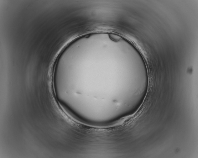 X0000093761235200711061103