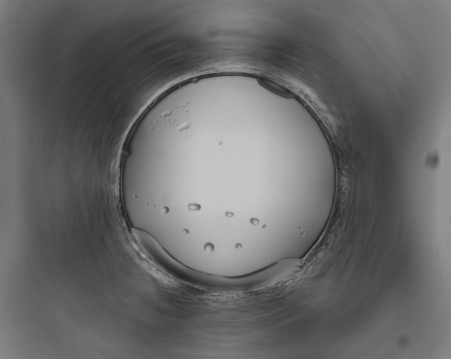 X0000093761236200711061103