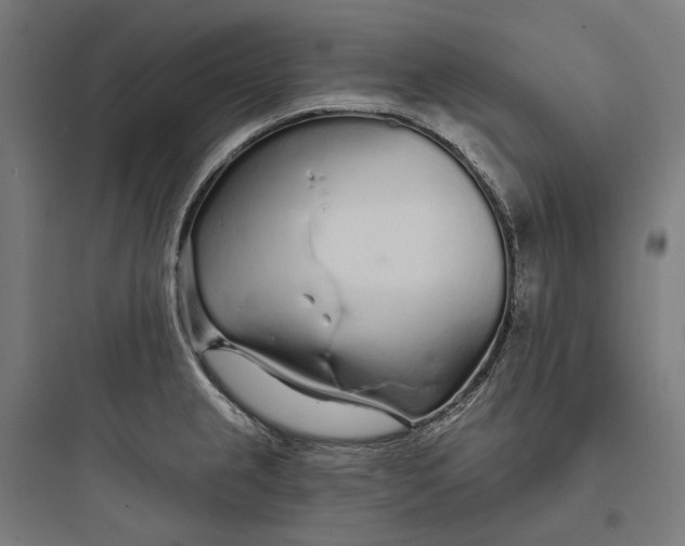 X0000093761237200711061103