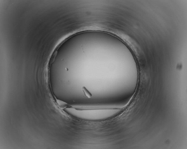 X0000093761238200711061103