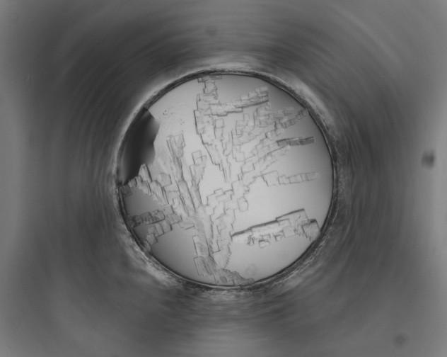 X0000093761240200711061103