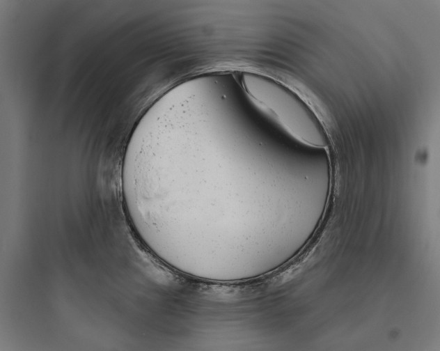 X0000093761241200711061103