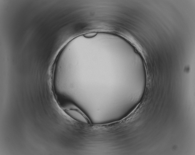 X0000093761243200711061103