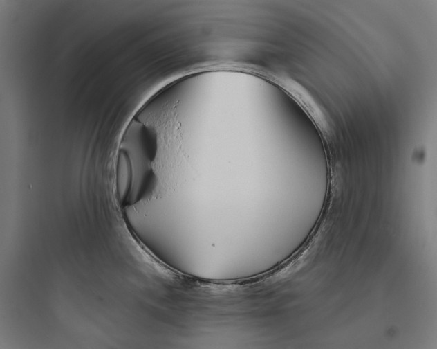 X0000093761244200711061103