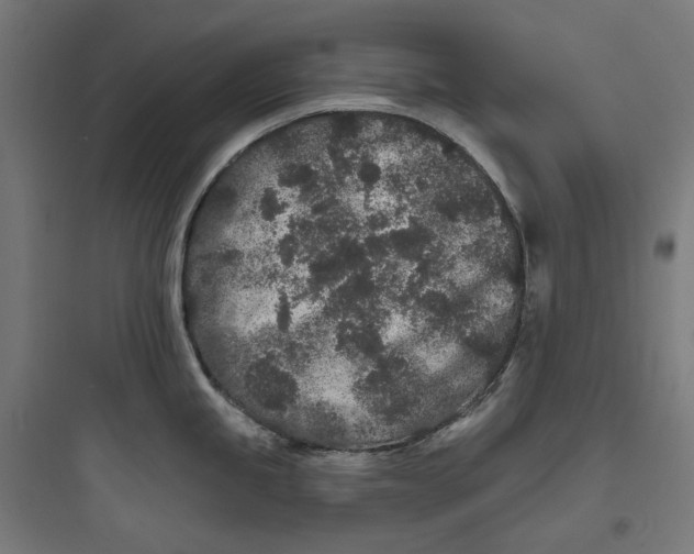 X0000093761245200711061103