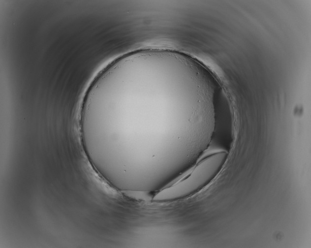 X0000093761248200711061103