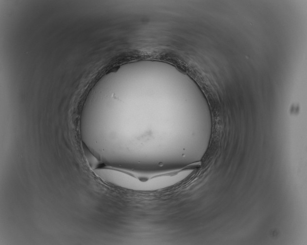 X0000093761249200711061103