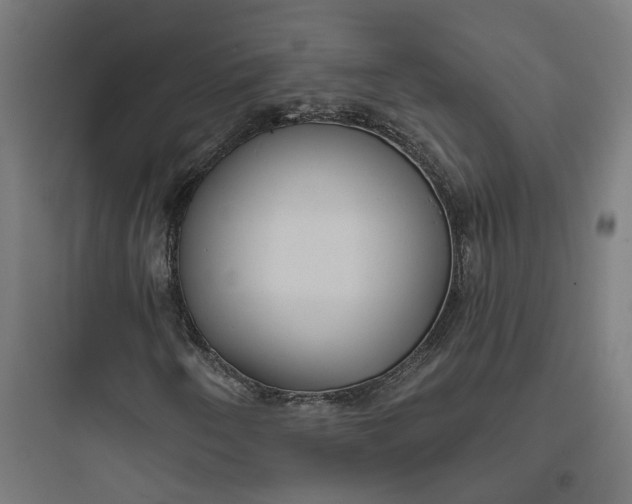 X0000093761250200711061103