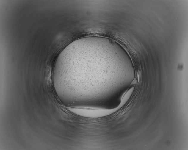 X0000093761251200711061103