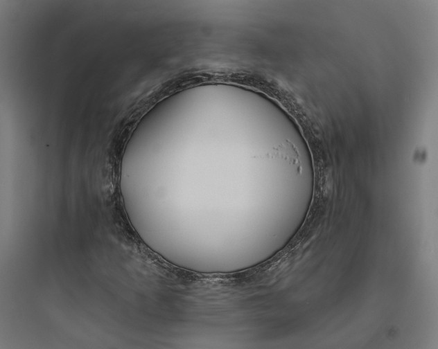 X0000093761253200711061103