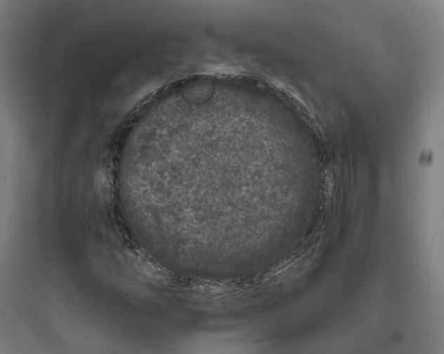 X0000093761254200711061103