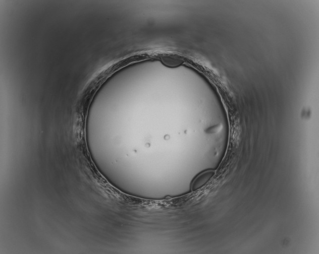 X0000093761255200711061103