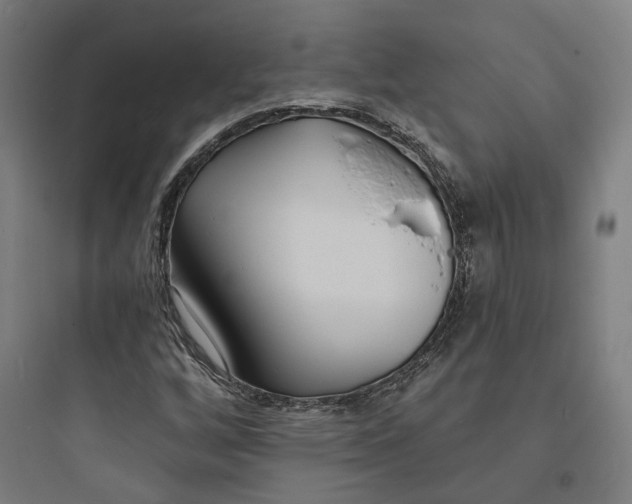 X0000093761256200711061103