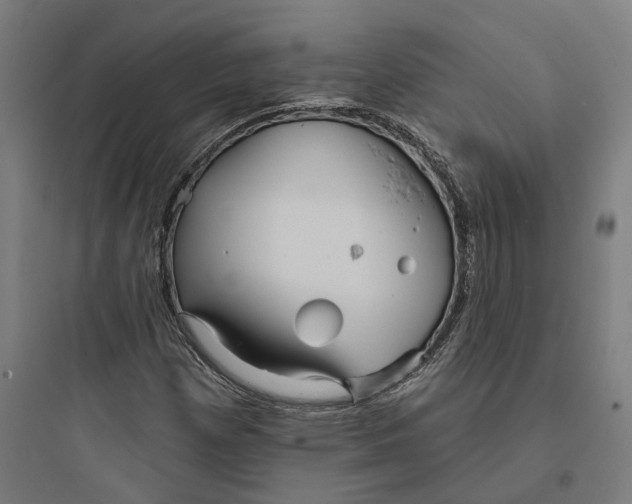 X0000093761257200711061103