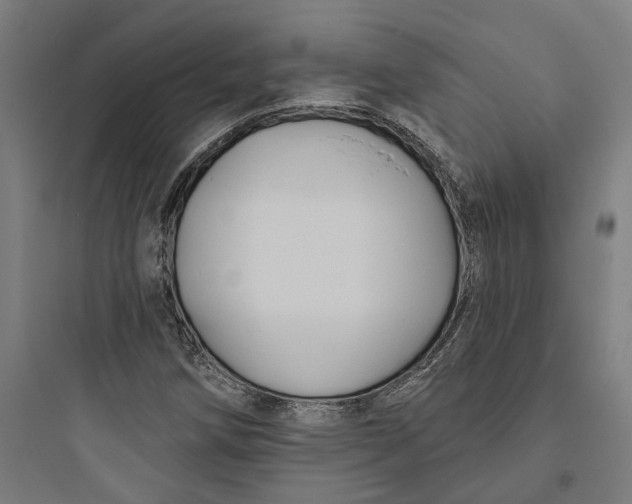 X0000093761258200711061103