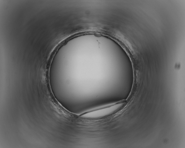 X0000093761260200711061102