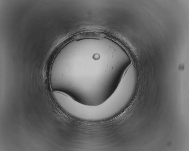 X0000093761261200711061102