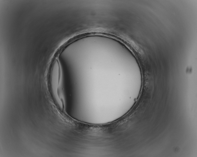 X0000093761264200711061102