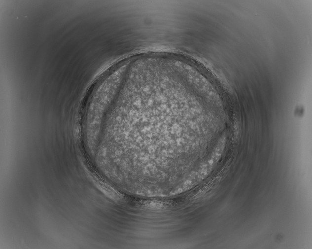 X0000093761266200711061102