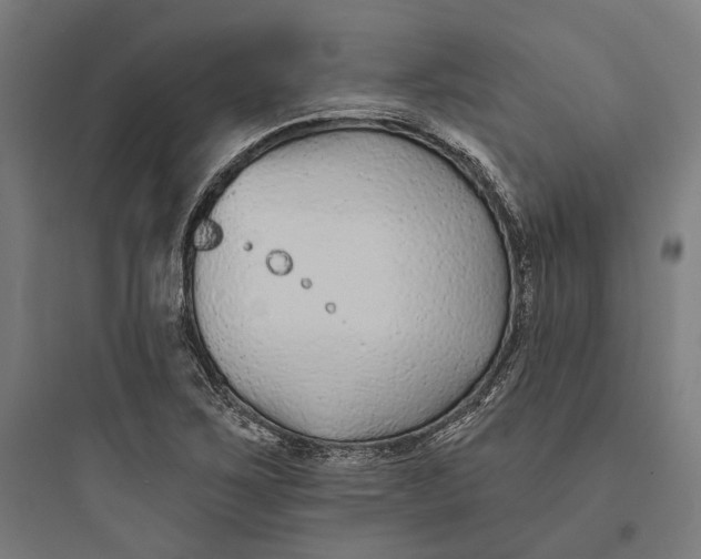 X0000093761267200711061102