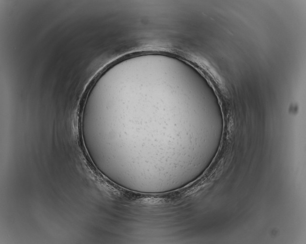 X0000093761268200711061102