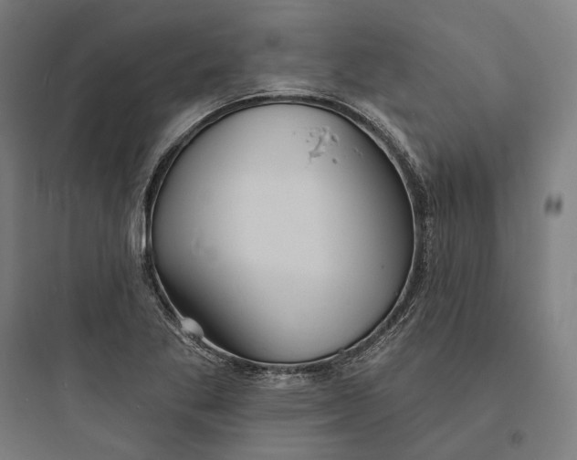 X0000093761269200711061102