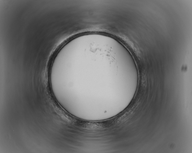 X0000093761270200711061102