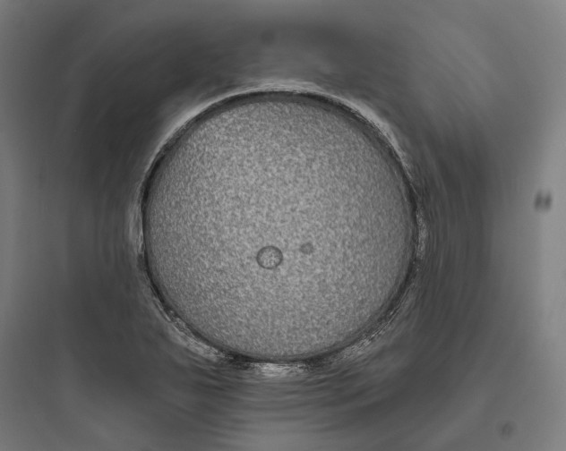 X0000093761271200711061102