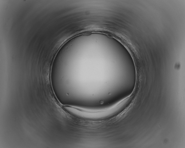 X0000093761273200711061102