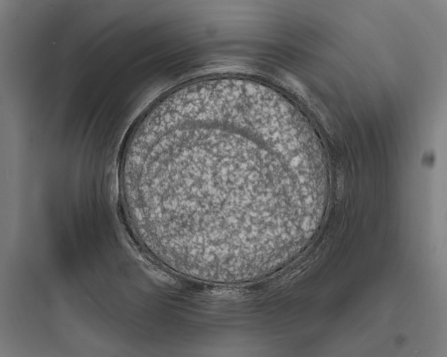 X0000093761274200711061102