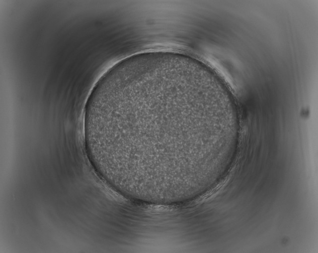 X0000093761275200711061102