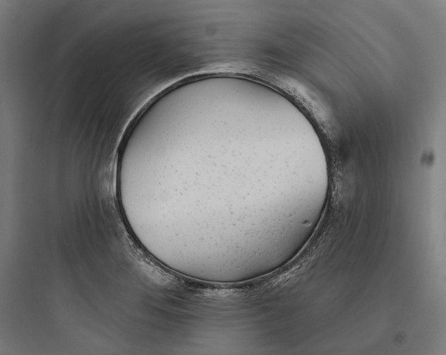 X0000093761276200711061102