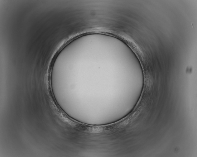 X0000093761278200711061102