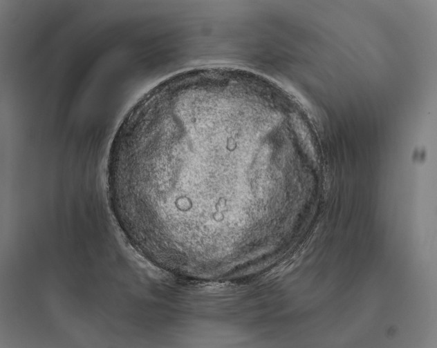 X0000093761279200711061102