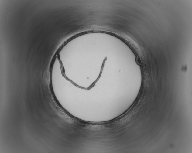 X0000093761280200711061102