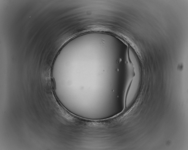 X0000093761281200711061102