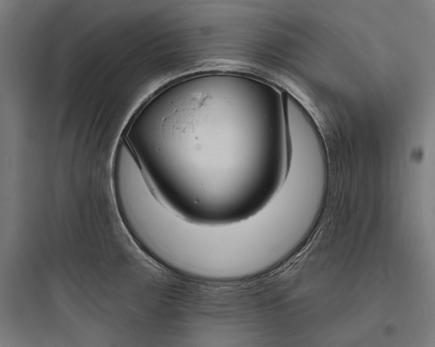 X0000093761283200711061102