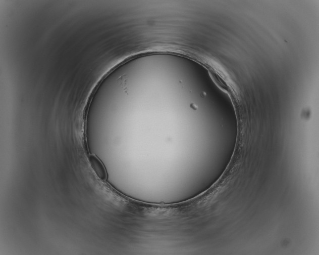 X0000093761284200711061102