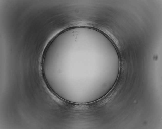 X0000093761285200711061102