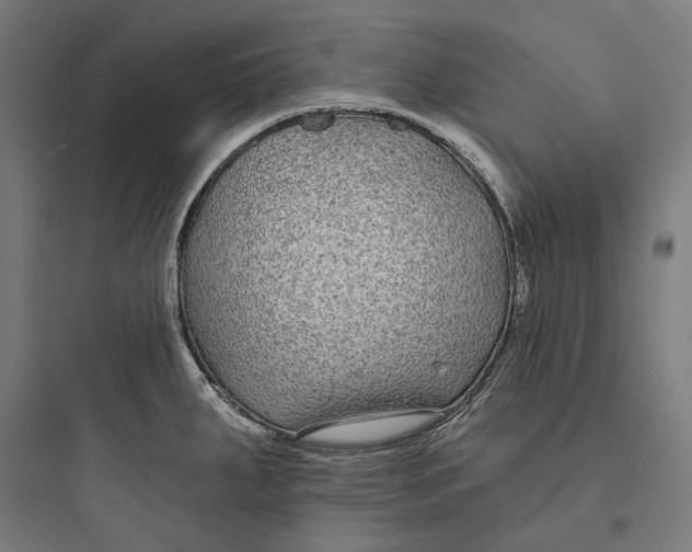 X0000093761287200711061102