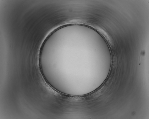 X0000093761288200711061102