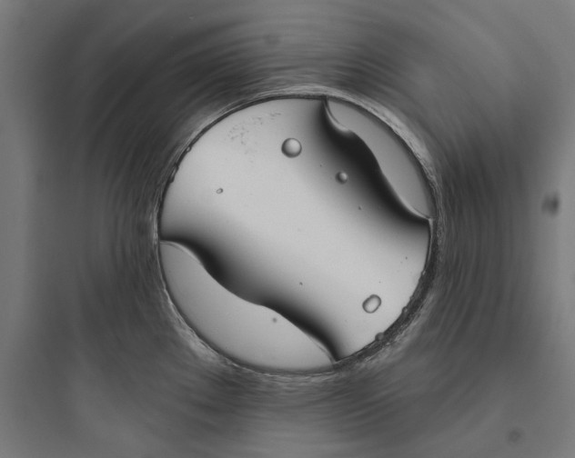 X0000093761289200711061102