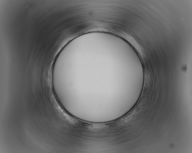 X0000093761290200711061102