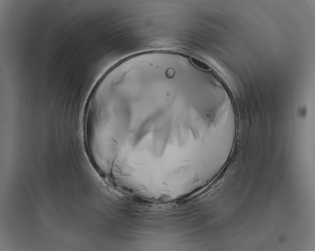 X0000093761291200711061102