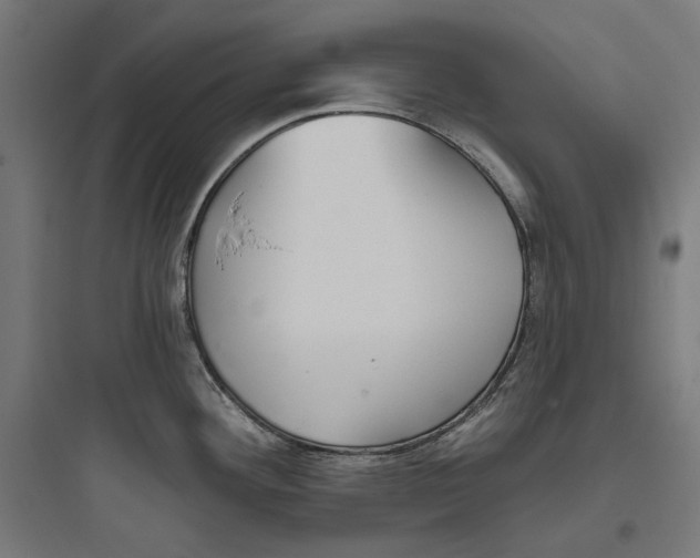 X0000093761292200711061102