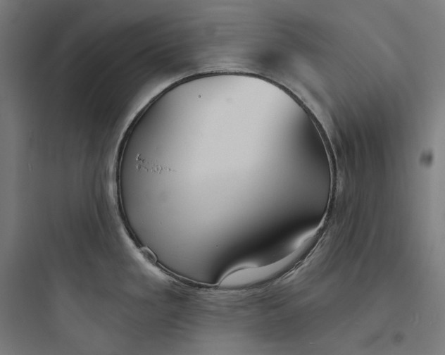 X0000093761293200711061102