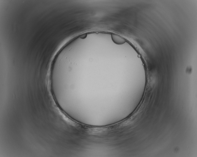 X0000093761294200711061102